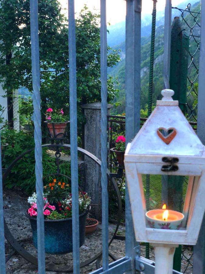 Le Castagne Matte Bed & Breakfast Stenico Eksteriør bilde
